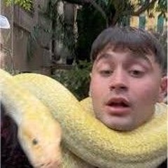 freestyle macello instagram