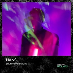 Hansi 🌿 wdlnds. tape '89