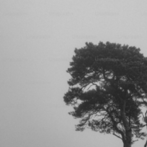 Bashful [PROD. Bashful]