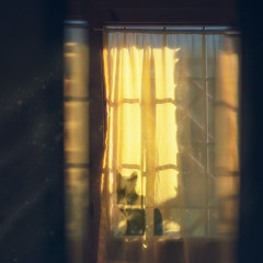 The Curtain