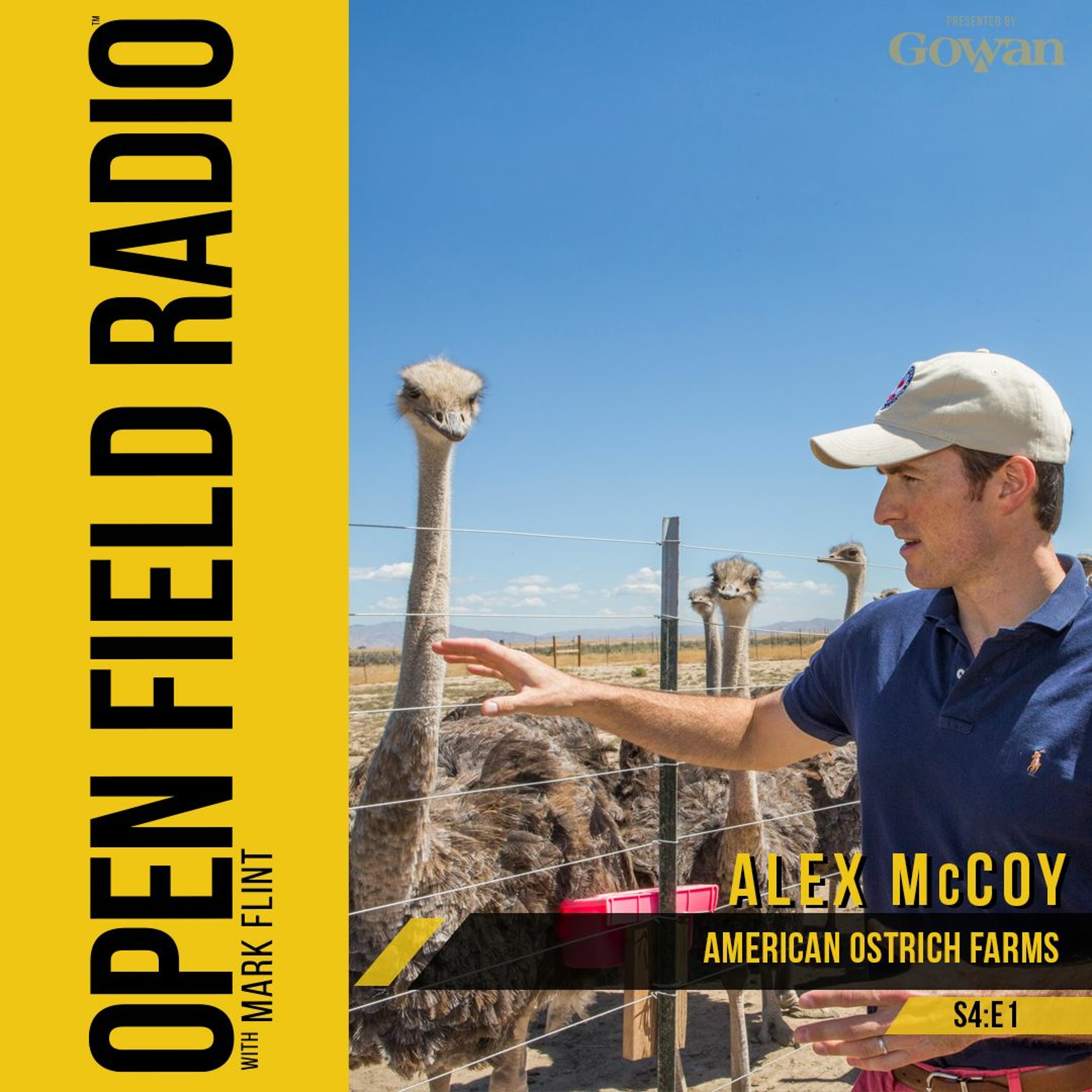 Delicate Dinosaurs, Alex McCoy American Ostrich Farms