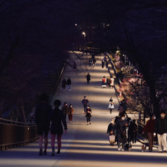 Make You Feel My Love (cover)