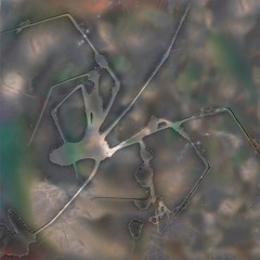 PREMIERE⚡️Claude B - Mind Clicks [Electric Shapes]