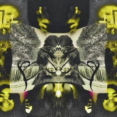 SICK - BABYCHAINLEEK PROD.miloofly