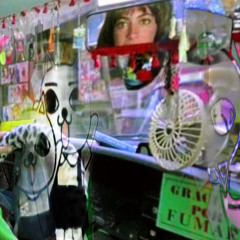 stupid little thing (p. 2004)