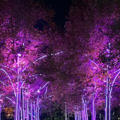 MIXTAPE 22 - BREAKBEAT #REQ JS