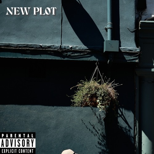 New Plot