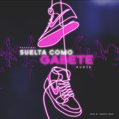 Audie - Suelta Como Gabete (By Hoodkingz, Shaditobass)