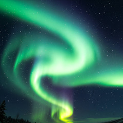 Icewind night