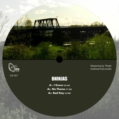 BNinjas - No Theme (Original Mix)