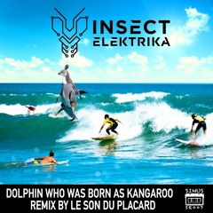 Insect Elektrika - Dolphin Who Was Born As Kangaroo (Le Son Du Placard Remix)