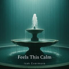 Feels This Calm