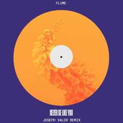 Afro House | N3V3R B3 L1K3 Y0U (JOSEPH VALOR REMIX)