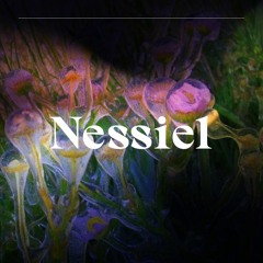 ¦ RiteWell S02E02 ¦ Nessiel