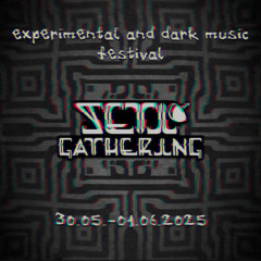 Seti-Gathering 2025
