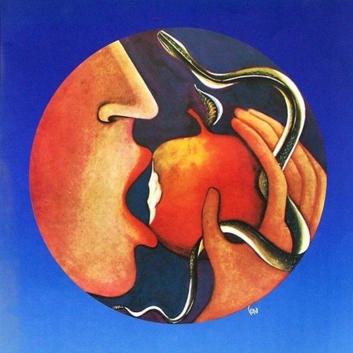 ROCK IT TO THE RYTHM OF A GROOVY BEAT
