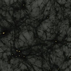 Dark Matter