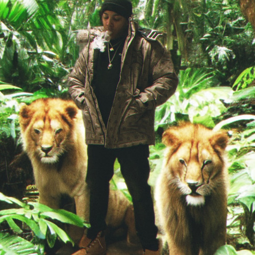 King of the Jungle