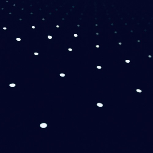 dp - d0wNbEat
