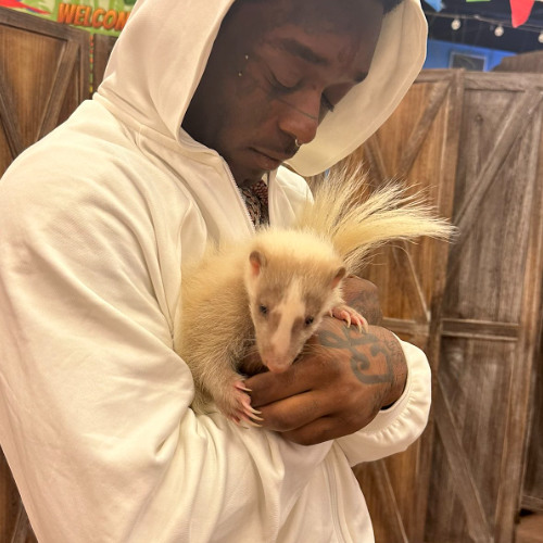 Lil Uzi Vert - Good In The Hood (My Mix and Master @prod. JayceGotDaSauce)