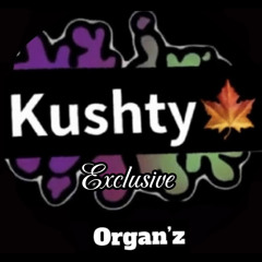kushty exclusive track 8🍁