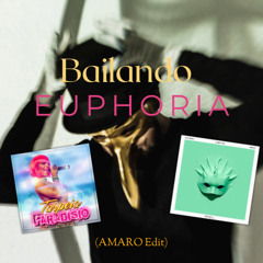 Claptone X Paradisio - Euphoria X Bailando (AMARO Edit)