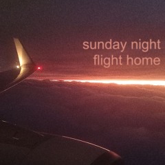 sunday night flight home