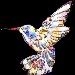 Reflection off the glass