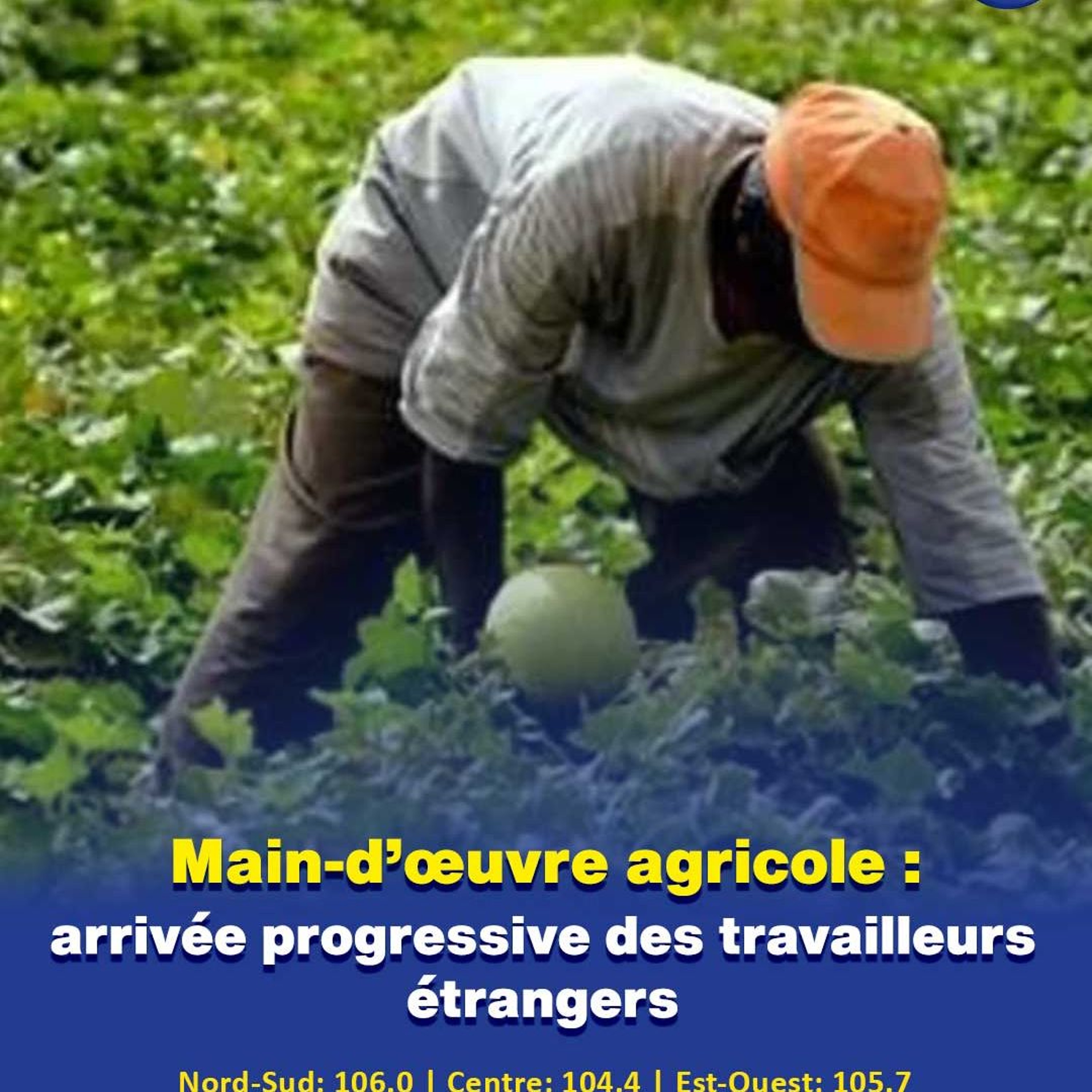 Main-d’œuvre agricole : arrivée progressive des travailleurs étrangers