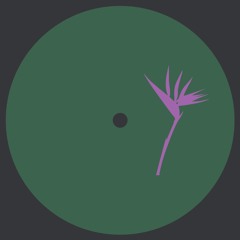 Premiere: A2. deWaal - Iceshade [PRP015]