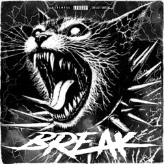 BREAK (Prod. Skreigh)