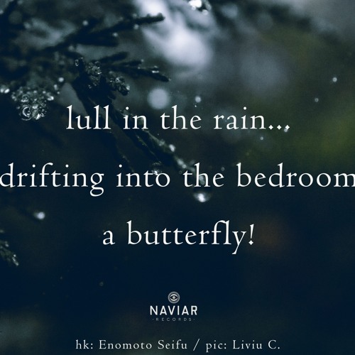 Lull In The Rain (naviarhaiku501)