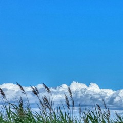 ☁️ ☽ Aerospace ☽ ☁️