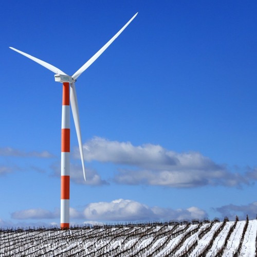 פרק 93 - אוויר - 4 האלמנטים בכרם