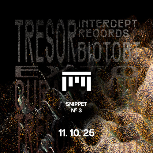 Snippet Three - 111025
