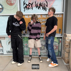 FREE $LEEPY (TGDon)