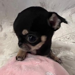 ☆