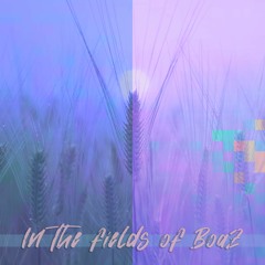 In The Fields Of Boaz
