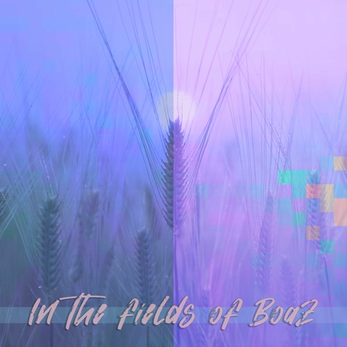 In The Fields Of Boaz