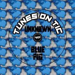 UNKNØWN - Blue Pig