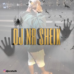 Mtg Ela Gosta Muito (Dj Nr Sheik)
