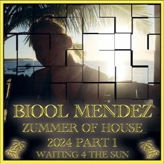 DJ BIOOL - ZUMMER OF HOUSE 2024 part 1 (waiting for the sun)
