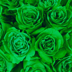 whine in brazil 2.0 (fanmade)