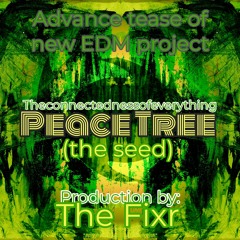 peace tree (the seed)