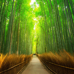 Philly C ~ DAD MUM FAMILY & CHRISTMAS DAY