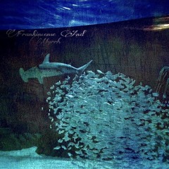 Frankincense And Myrrh