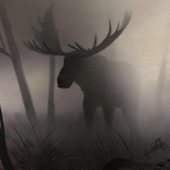 *FREE FOR PROFIT* HXLX X GOREJIT X NYUCTO TYPE BEAT - "MOOSE MUCUS" (Prod.Cxrbxrus)