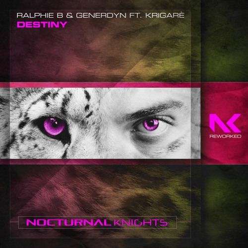 Destiny (feat. Krigarè)