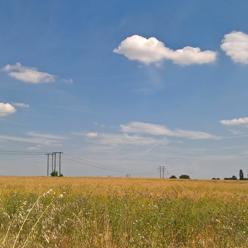 POP AMBIENT (2001 - 2025)
