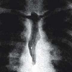 metallic mediatation of patience (babyfather x eartheater)